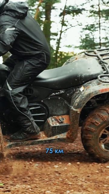 Редуктор шепчет, колёса кричат смотреть онлайн