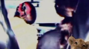 цыганская песня 😻 2025г маладёжная ⚜️💎 
бешано гилёри 😶🌫️🐊🕊️