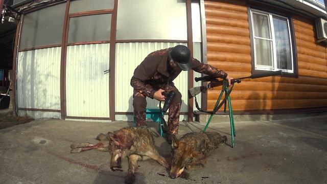 СЕРЫЕ РАЗБОЙНИКИ. НАКАЗАНЫ смотреть онлайн