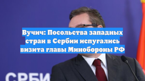 Вучич: Посольства западных стран в Сербии испугались визита главы Минобороны РФ