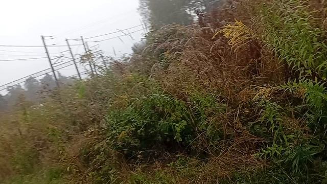 9402.mp4 смотреть онлайн