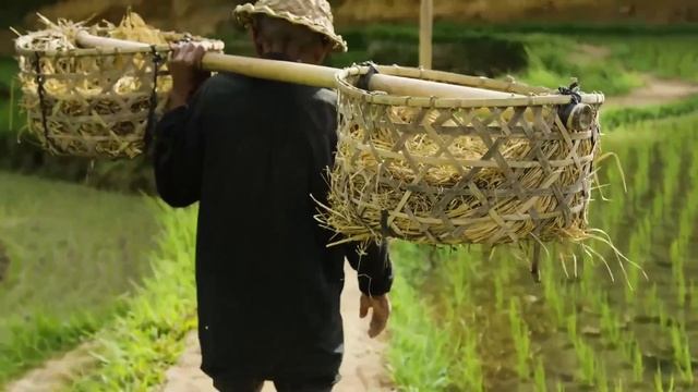 Очень красивое видео о природе и мире смотреть онлайн