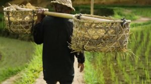 Очень красивое видео о природе и мире