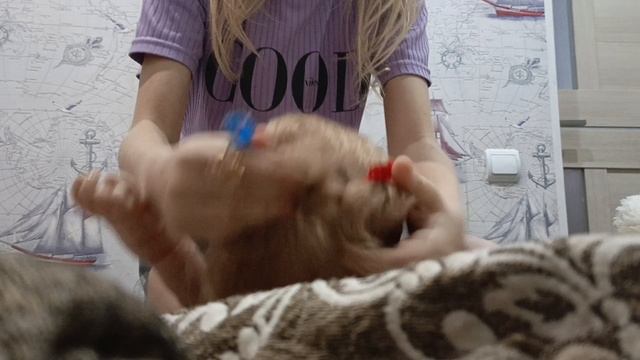 1000016585.mp4 смотреть онлайн