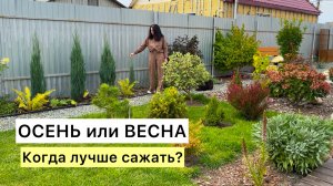СЕНТЯБРЬ! Можно ещё сажать или уже не стоит?