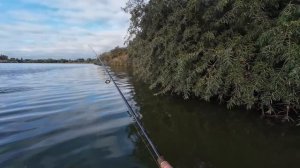 Рыбалка на Mepps Aglia Long #2 и #3 Две щуки и горсть окуней.