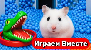 ЛАБИРИНТ С ЛОВУШКАМИ И МОНСТРАМИ ДЛЯ УМНОГО ХОМЯКА 🐹🐹 ВИДЕО ПРО ЖИВОТНЫХ ДЛЯ ДЕТЕЙ 🐹🐹