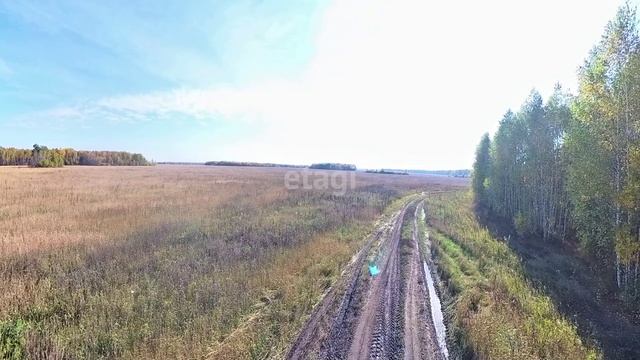 9724112 смотреть онлайн