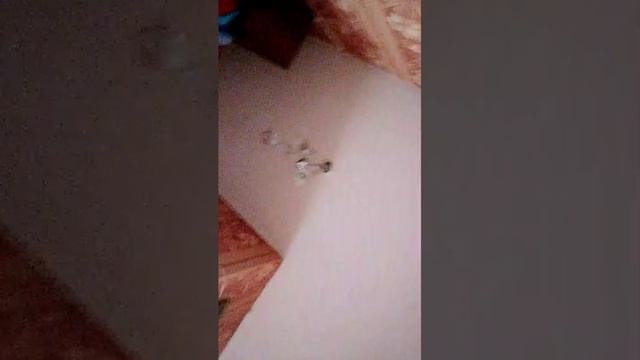 подпишись смотреть онлайн