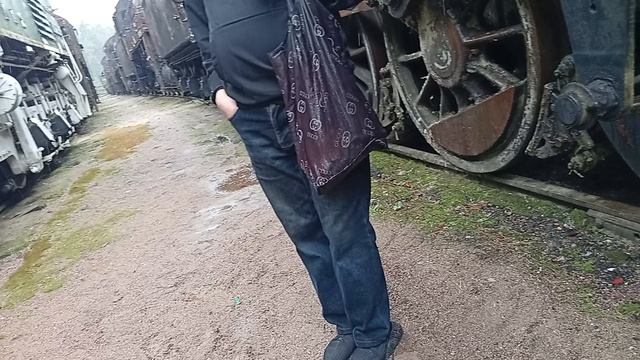 9381.mp4 смотреть онлайн