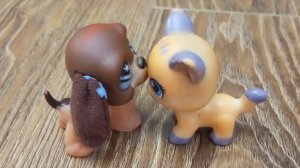 лпс популяр эпизод 7