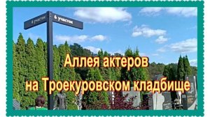 Аллея актеров на Троекуровском кладбище.  6й участок, 11й и 10 ряд