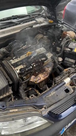 Ремонт мотора за несколько минут.