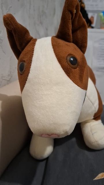 Возможно завтра, вы увидите то от чего вы удивитесь, и настанет пора милости 🥹💞