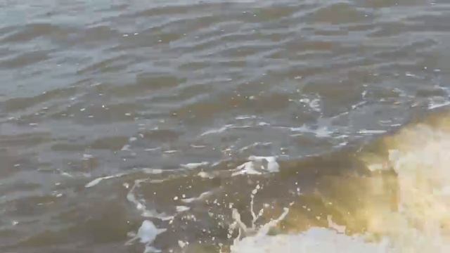 Где можно покататься на водном мотоцикле в Голубицкой смотреть онлайн