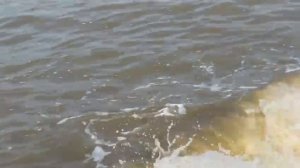 Где можно покататься на водном мотоцикле в Голубицкой