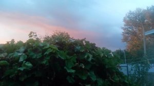 VID_20250920_180835.mp4