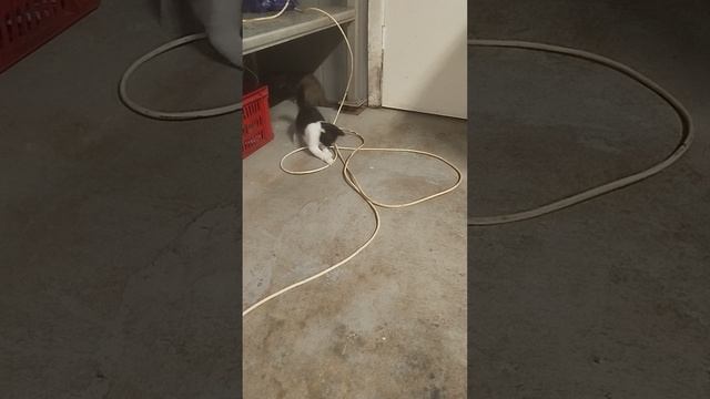 лекарство от всех типов проблем и депрессии смотреть онлайн