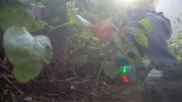 гвалвлвлалвш