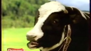 Анонс и реклама (СТС, 10.10.2004). 2