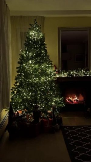 Ёлку поставили 😍😁