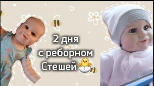 2 дня с реборном Стешей🐣\Оставила Стешу одну?!?🫣/Чем извинилась за ситуацию😰