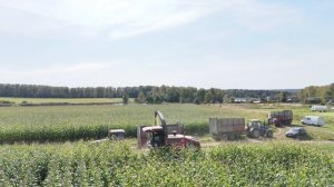 Уборка кукурузы