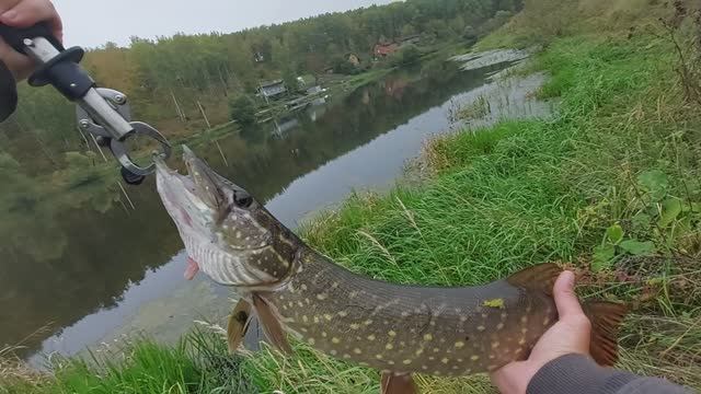 Рыбалка на воблеры Pontoon21!