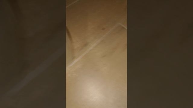 VID_20250920_190830.mp4