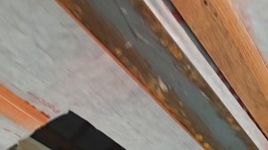 Фабрика не уютных домов