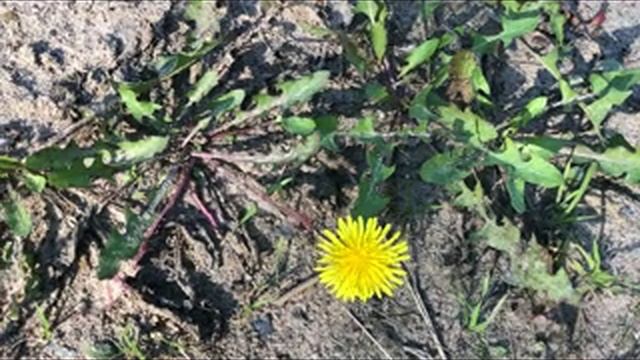 Тихая охота продолжается смотреть онлайн