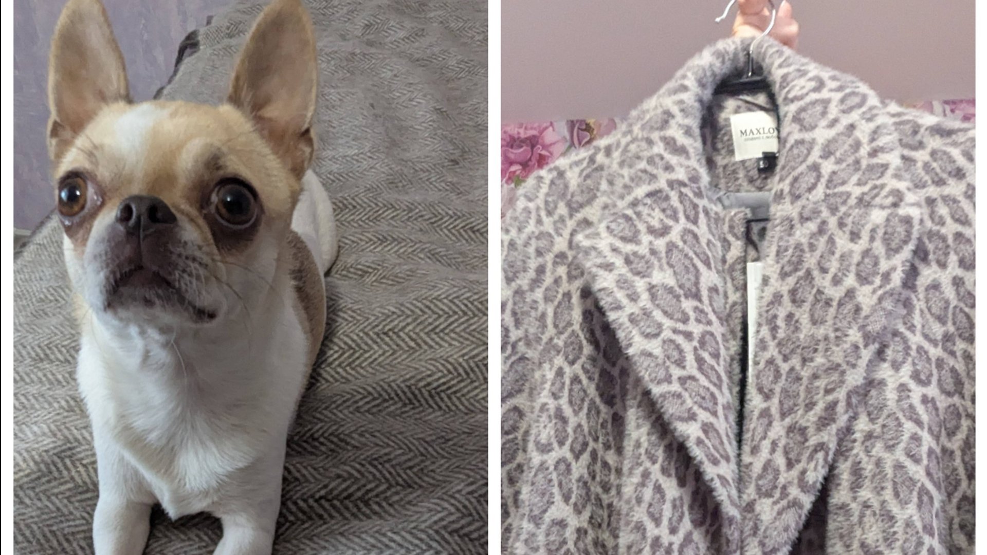 Поездка в Ярославль, примеряем обновки. смотреть онлайн