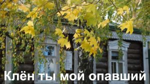 Клён ты мой опавший