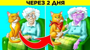 Ваша Кошка Съест Вас, Если Вы Умрёте в Одиночестве. Парад Фактов 6