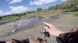 Мормышинг! Ловля окуней в болоте на мелководье.