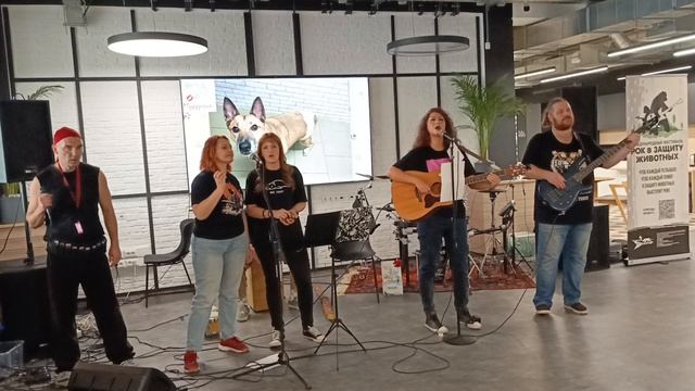 KOSATKA project ("Рок в защиту животных" Нижний Новгород 20-09-2025) смотреть онлайн