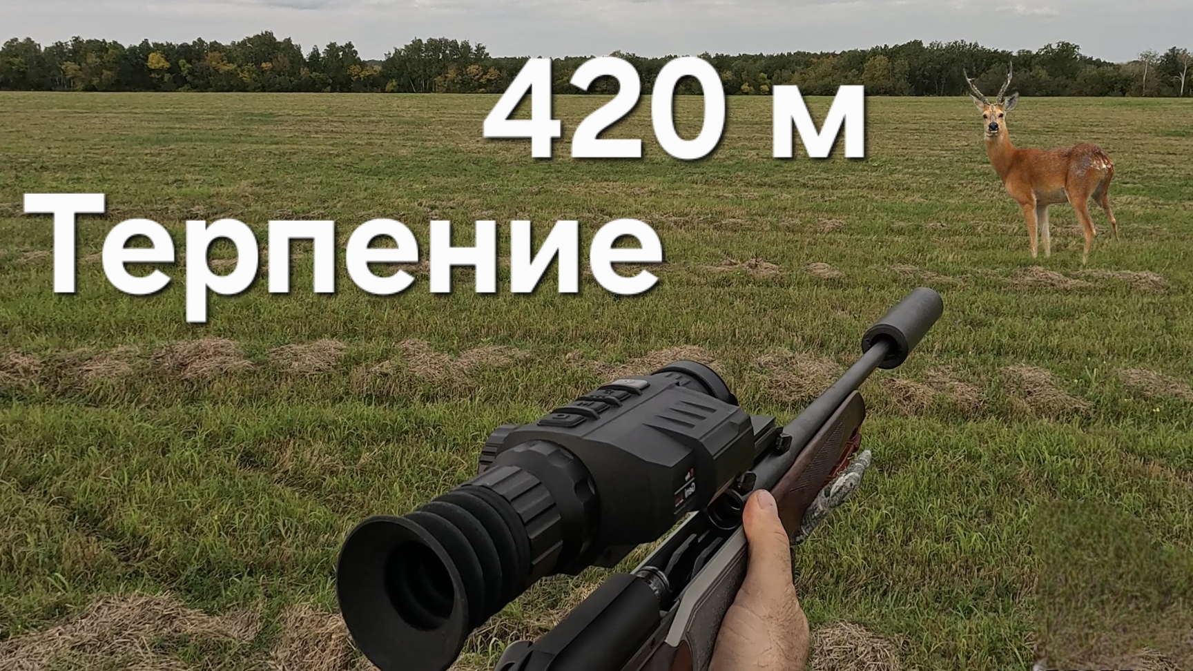 Охота на косулю. Blaser 30 06 смотреть онлайн