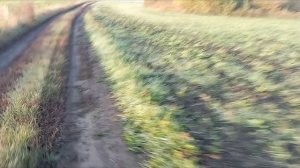 Велопутешествие по окрестностям