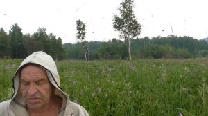 Ноннотыдяк РЫСЬ СЪЕЛИ