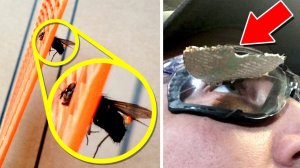 Совпадения на Миллион. Часть 5