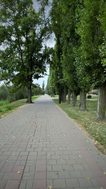 ТАМБОВ‼️ #отдых #путешествия #россия #блогер #тамбов #успех #природа #красота #река #лес #блог #храм смотреть онлайн