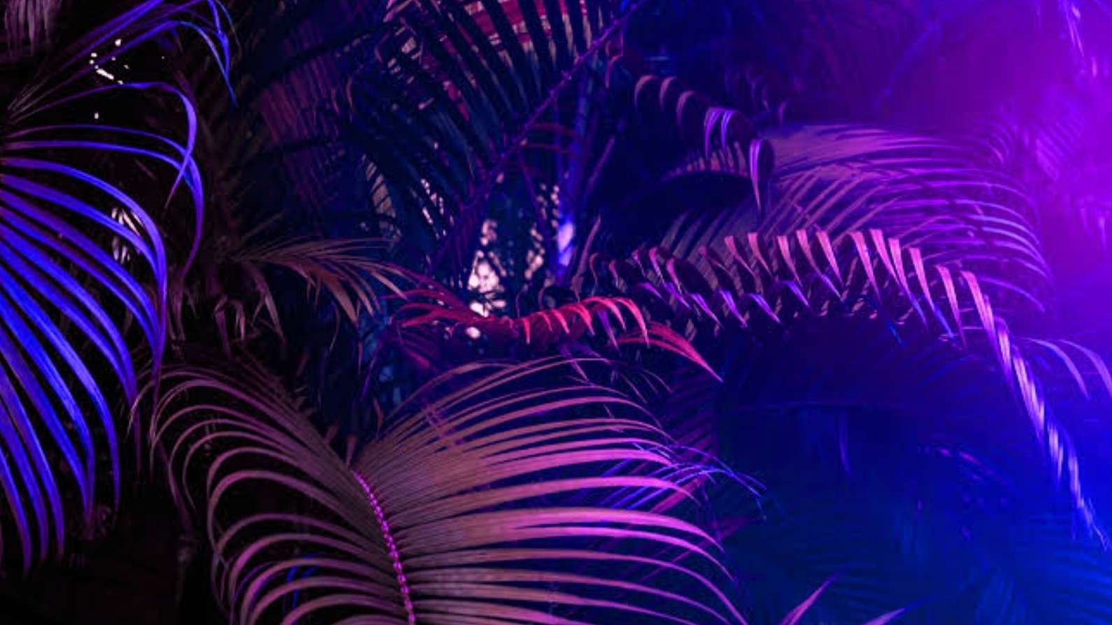 Рум-Тур/По дому/Тока Бока/🪴Рил/Ril/