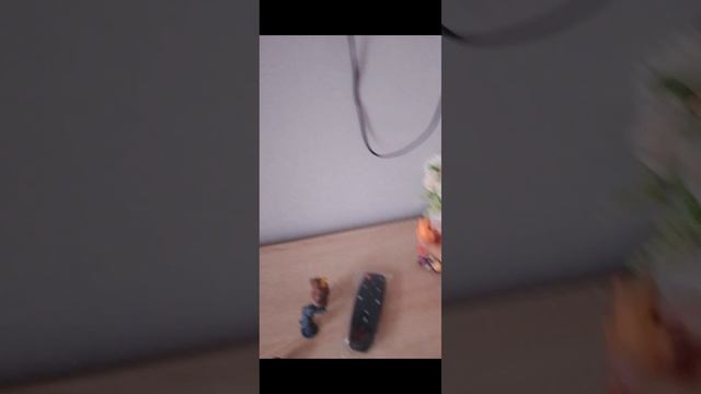 Маша и медведь раз в году серия 147 смотреть онлайн