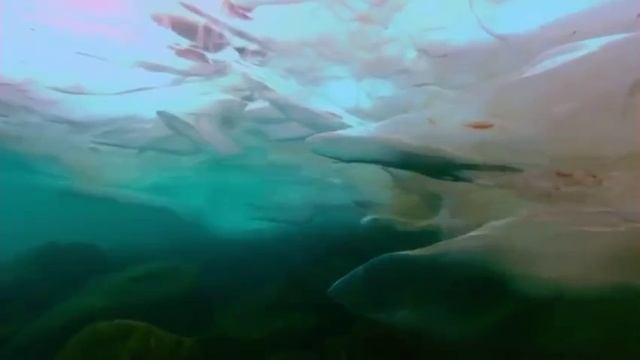 Очень красивое видео о природе смотреть онлайн