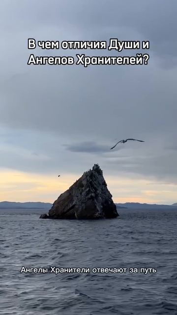 В чем отличия Души и Ангелов Хранителей? смотреть онлайн