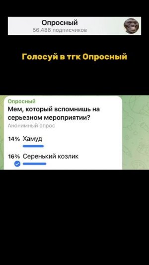 Мем, который вспомнишь на серьезном мероприятии?