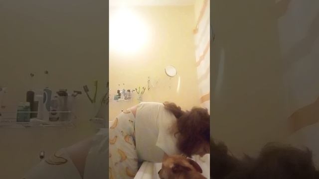 Мою собаку чек. смотреть онлайн