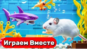 ЛАБИРИНТ С ЛОВУШКАМИ ДЛЯ УМНОГО ХОМЯКА 🐹🐹 ВЫБИРАЕМСЯ ВМЕСТЕ ИЗ ЛАБИРИНТОВ С МОНСТРАМИ 🐹🐹