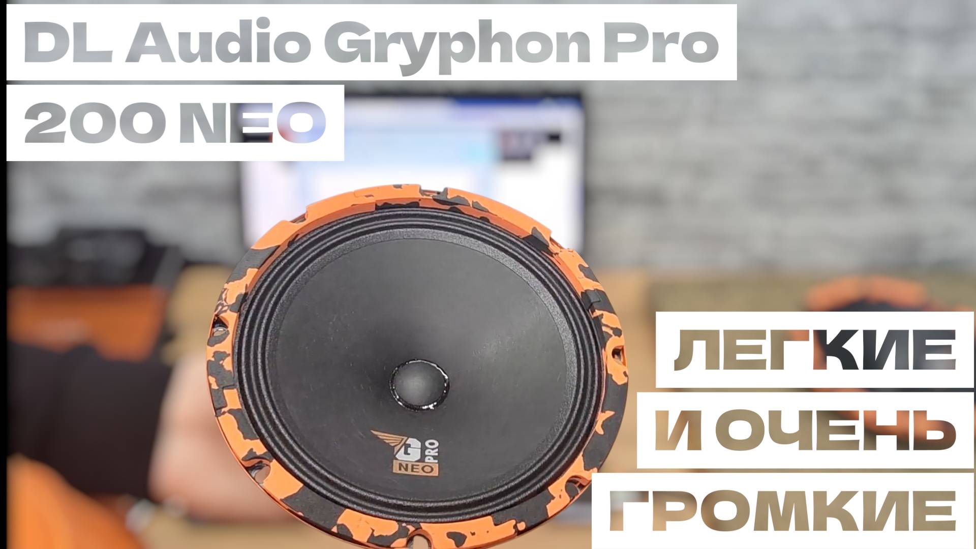 Громкие и очень лёгкие динамики на неодимовом магните. DL Audio Gryphon Pro 200 Neo. смотреть онлайн