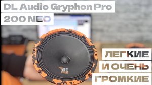 Громкие и очень лёгкие динамики на неодимовом магните. DL Audio Gryphon Pro 200 Neo.